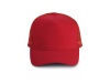 BON TRUCKER 5 PAINIS