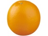 Laranja antisstress de recuperao lenta Odin