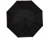 Guarda-chuva dobrvel automtico de 2 seces de 21 Polegadas Blue skies