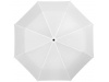 Guarda-chuva dobrvel automtico de 3 seces de 21.5 Polegadas Alex