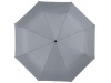 Guarda-chuva dobrvel automtico de 3 seces de 21.5 Polegadas Alex