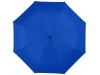 Guarda-chuva dobrvel automtico de 3 seces de 21.5 Polegadas Alex