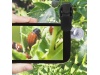 MICROSCPIO DICSON 60X