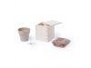 VASO MERIN