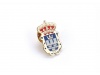 Pins de lato esmaltado a cor