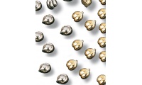 Moedas