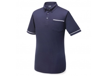 Polo Star