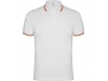 POLO NATION 