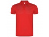 POLO SILVERSTONE