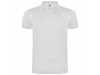 POLO SILVERSTONE
