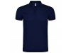 POLO SILVERSTONE