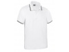 Polo tcnico SAGANO