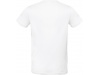 T-shirt de homem bio Inspire Plus Branca