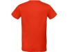T-shirt de homem bio Inspire Plus Cores
