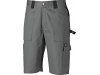 Cales GRAFTER DUO TONE