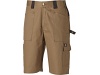 Cales GRAFTER DUO TONE