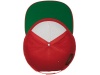 Bon Classic com 5 painis Snapback