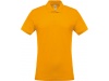 Polo piqu de homem de manga curta Cores