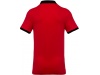 Polo de homem piqu bicolor