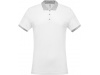Polo de homem piqu bicolor
