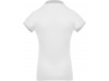 Polo de senhora piqu bicolor