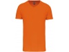T-shirt BIO15 de homem decote V Cores