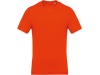T-shirt de homem com decote em V de manga curta Cores