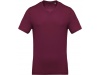T-shirt de homem com decote em V de manga curta Cores