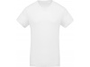 T-shirt BIO de homem com decote redondo