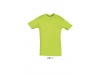 T-SHIRT UNISSEXO DE GOLA REDONDA CORES REGENT
