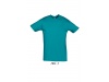 T-SHIRT UNISSEXO DE GOLA REDONDA CORES REGENT