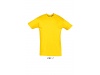 T-SHIRT UNISSEXO DE GOLA REDONDA CORES REGENT