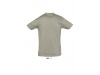 T-SHIRT UNISSEXO DE GOLA REDONDA CORES 3XL REGENT
