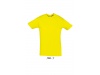 T-SHIRT UNISSEXO DE GOLA REDONDA CORES REGENT