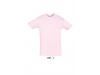 T-SHIRT UNISSEXO DE GOLA REDONDA CORES 3XL REGENT