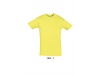 T-SHIRT UNISSEXO DE GOLA REDONDA CORES 3XL REGENT