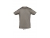 T-SHIRT UNISSEXO DE GOLA REDONDA CORES 3XL REGENT