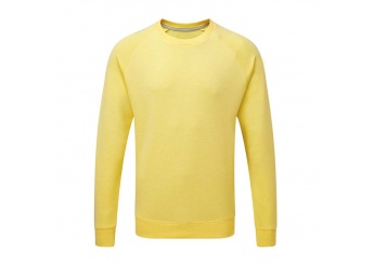 Sweatshirt Set-In HD T Raglan