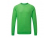 Sweatshirt Set-In HD T Raglan