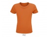T-SHIRT JERSEY COM PESCOO REDONDO PARA CRIANAS CRUSADER KIDS Cores