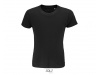 T-SHIRT JERSEY COM PESCOO REDONDO PARA CRIANAS CRUSADER KIDS Cores