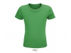 T-SHIRT JERSEY COM PESCOO REDONDO PARA CRIANAS CRUSADER KIDS Cores