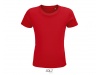 T-SHIRT JERSEY COM PESCOO REDONDO PARA CRIANAS CRUSADER KIDS Cores