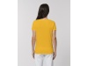 T-shirt manga de mulher curta unissexo Cores Jazzer