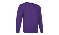 Sweatshirt 295gr/m2 DUBLIN Adulto