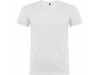 T-shirt Beagle Adulto Branca 4XL