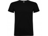 T-shirt Beagle Adulto Cores 4XL