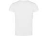 T-SHIRT SUBLIMA Adulto