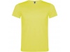 T-SHIRT AKITA Adulto